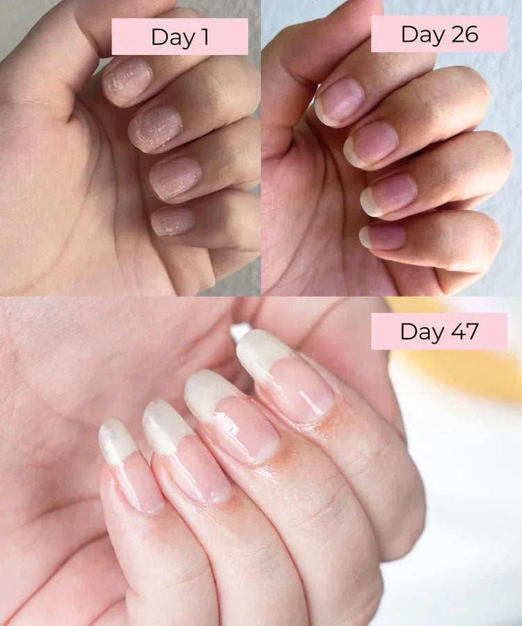 AriaLux Stem Cell Nail Growth Oil