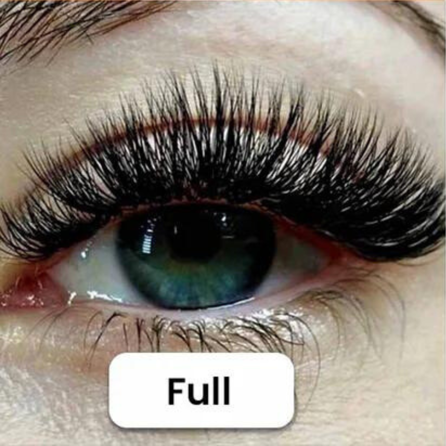 Aria Magnetic Lash Kit