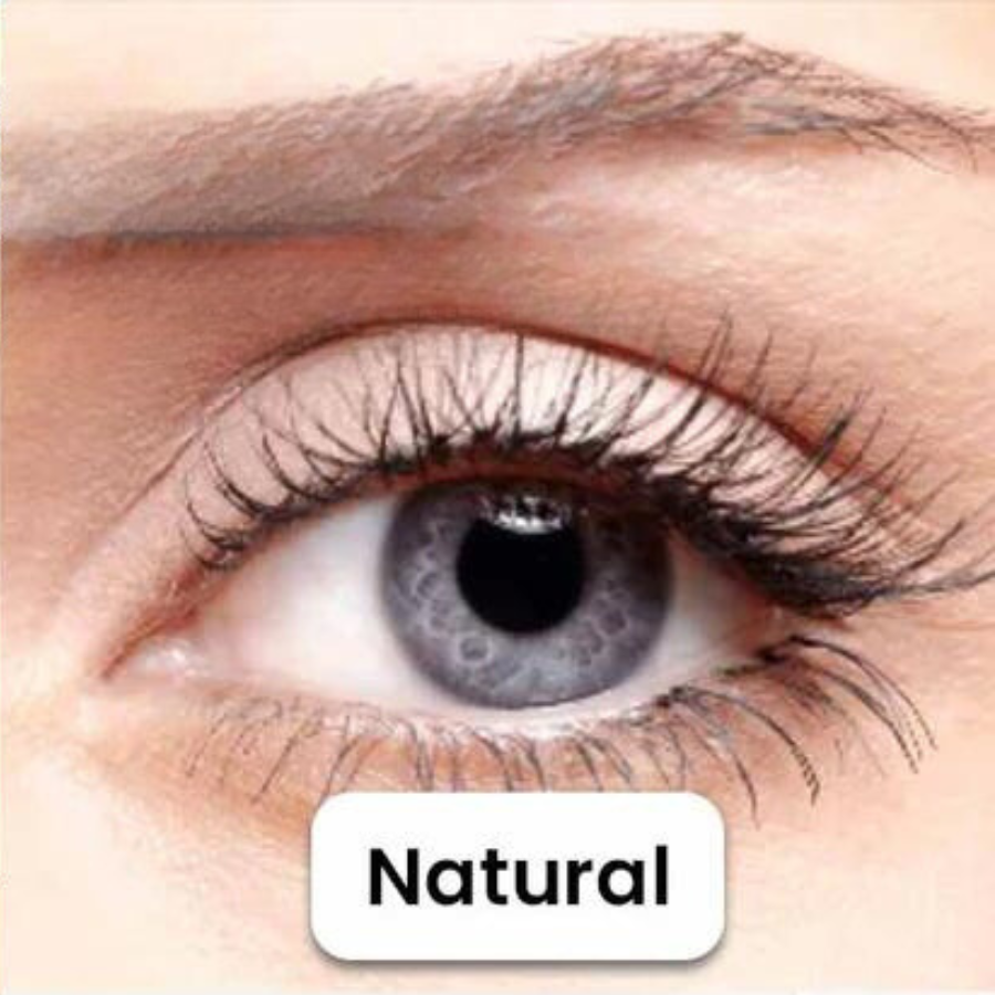 Aria Magnetic Lash Kit