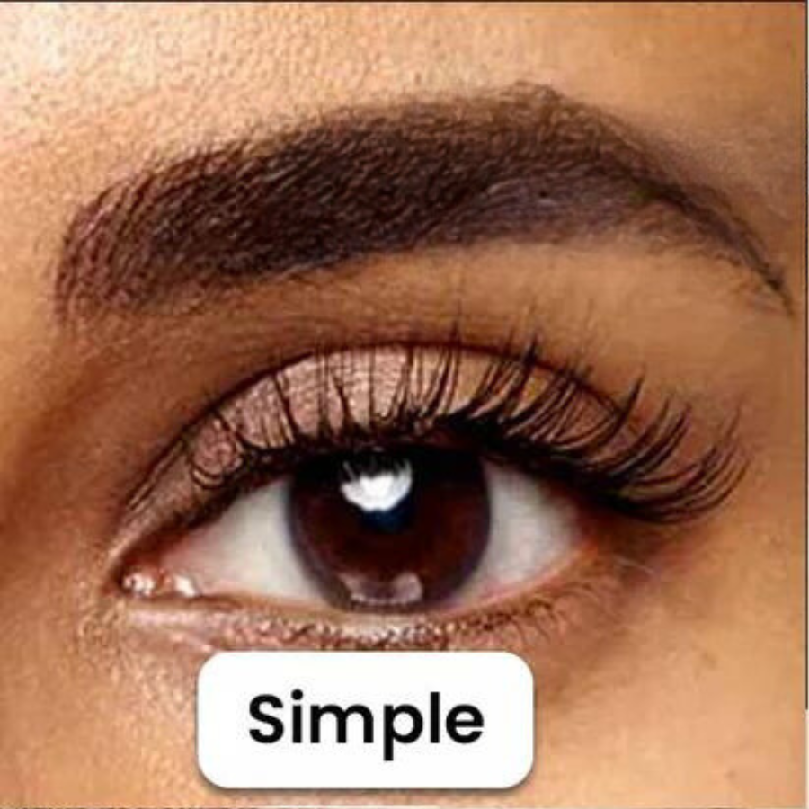 Aria Magnetic Lash Kit